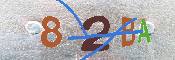 キャプチャ画像