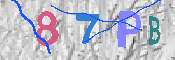 キャプチャ画像