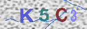 キャプチャ画像