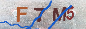 キャプチャ画像