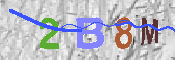 キャプチャ画像