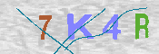 キャプチャ画像