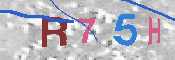 キャプチャ画像
