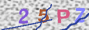 キャプチャ画像