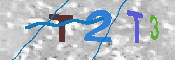 キャプチャ画像