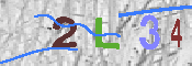キャプチャ画像