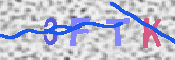 キャプチャ画像