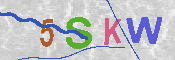 キャプチャ画像