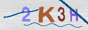 キャプチャ画像