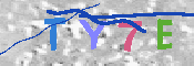 キャプチャ画像