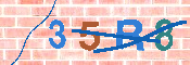 キャプチャ画像