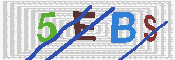 キャプチャ画像
