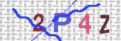 キャプチャ画像