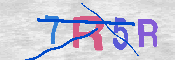 キャプチャ画像