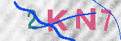 キャプチャ画像