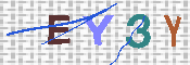 キャプチャ画像
